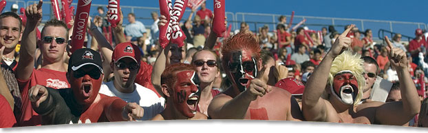 Cheering fans