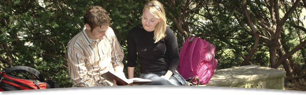 Photo of students studying on bench