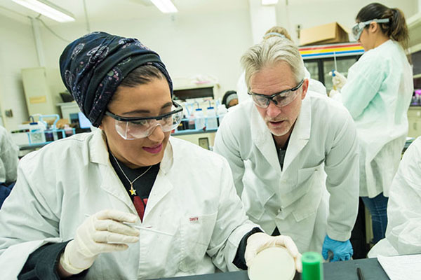 Students in the lab