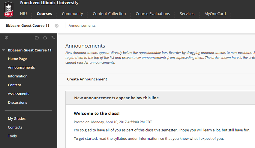 new course theme in blackboard