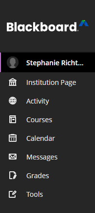 navigation menu with 8 items, including: Institution Page, Activity, Courses, Calendar, Messages, Grades, Tools