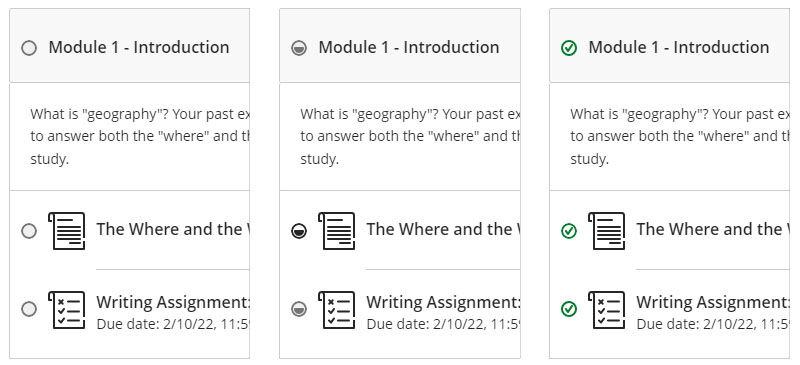 progress tracking icons are empty when you have not yet accessed the item, partially filled when you have opened it, and filled with a checkmark when you have completed the item