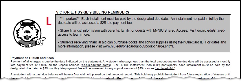 Sample Partial Back Account Statement