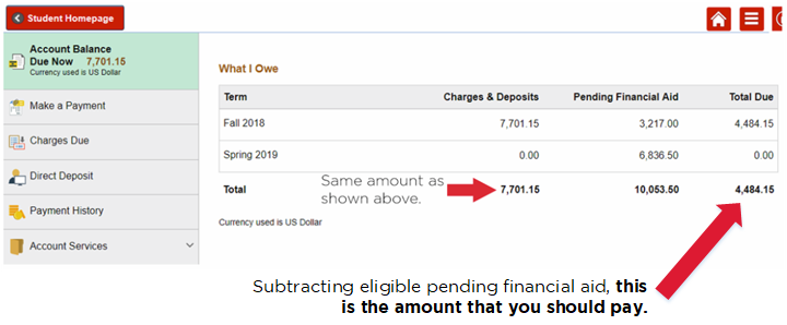 account balance detail