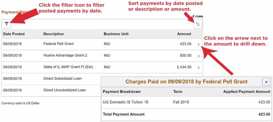 payment history details