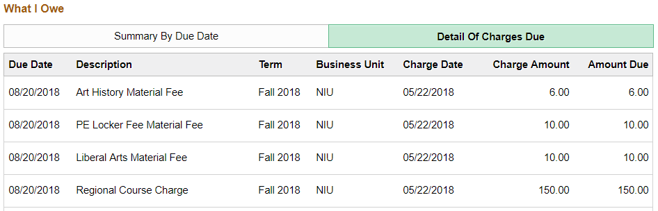 charges due detail