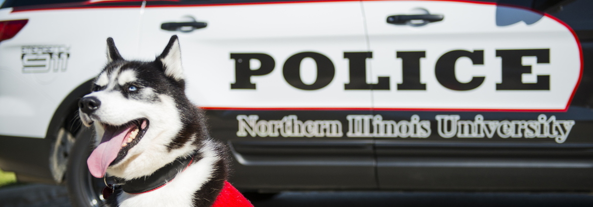 mission-sitting-next-to-police-vehicle