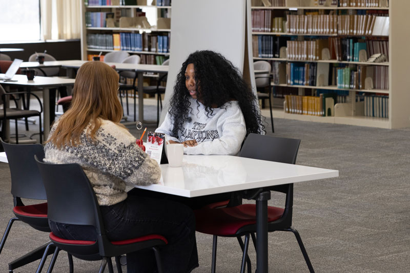 Student meeting with an academic coach