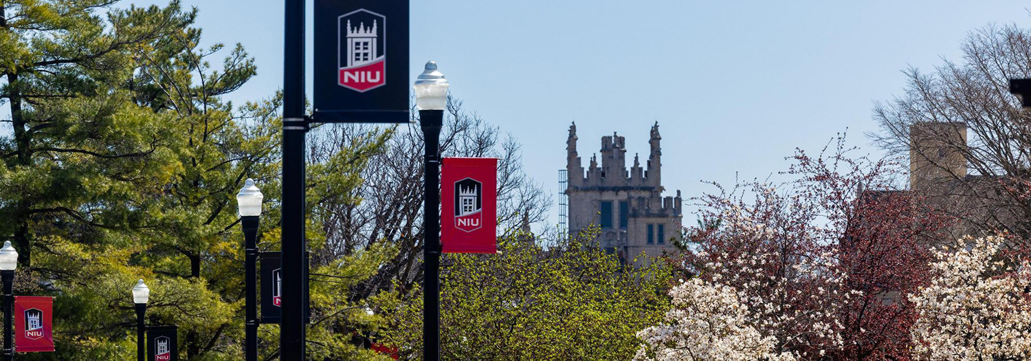 Large group of NIU  faculty posing outside of Altgeld Hall