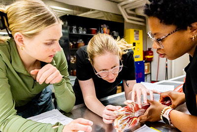 Three female STEM students studying a robotic arm