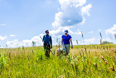 Two STEM students walking in a field with equipment
