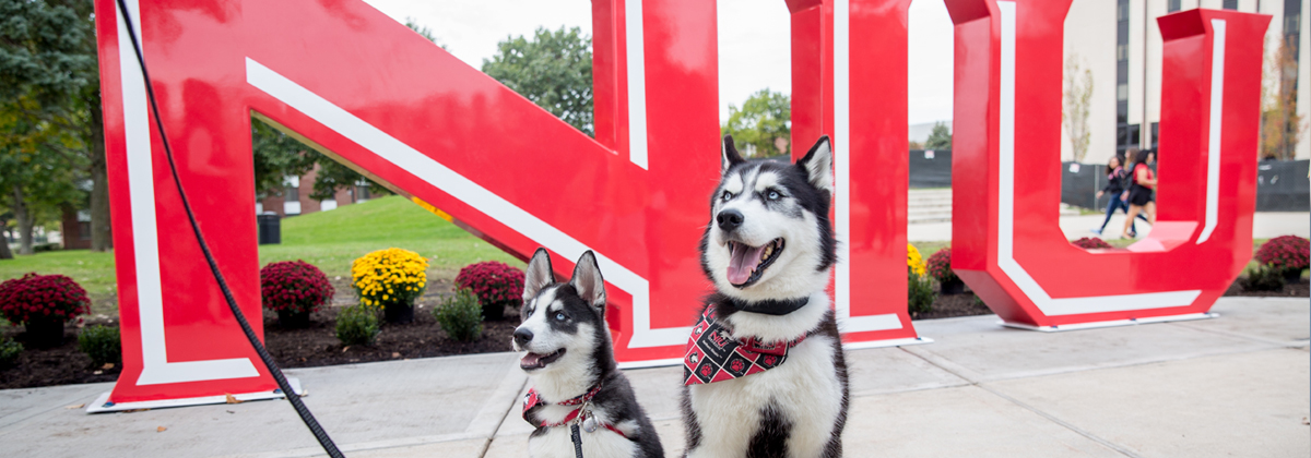 Mission and Mission 2 by the NIU statue