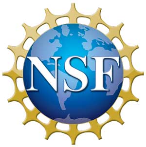 The National Science Foundation (NSF)