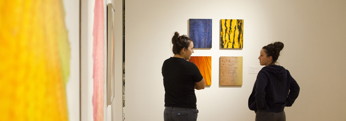 NIU Art Museum