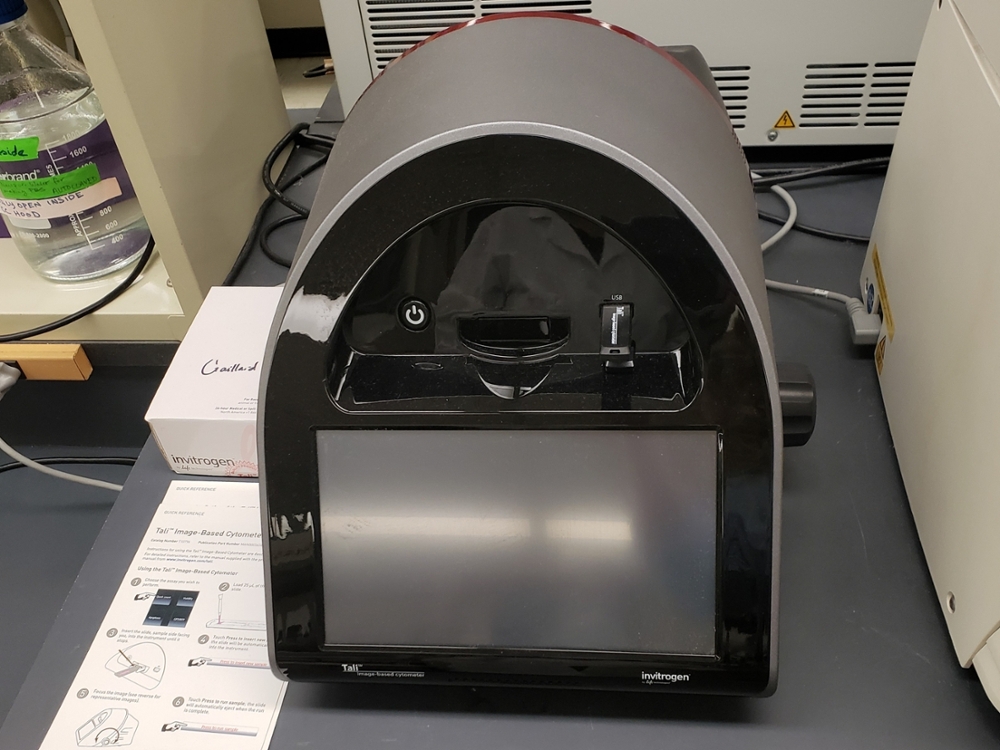 The Tali image-based cytometer is used to perform automated cell counts and quantitative red/green fluorescence measurements.