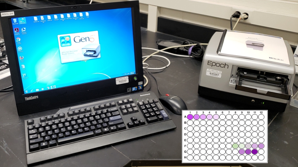 The Epoch UV-Vis microplate spectrophotometer enables a broad range of applications that require absorbance-based measurements and reliable replication.