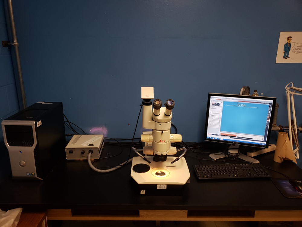 The Leica MZ7.5 Stereo Microscope can be used to perform delicate surgical procedures, capture digital images of biological macrostructures, and record video footage of live organisms.