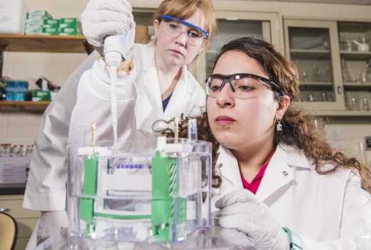 Paige Bothwell observes while Doaa Alshammari carefully loads each lane of a vertical gel before electrophoresis.