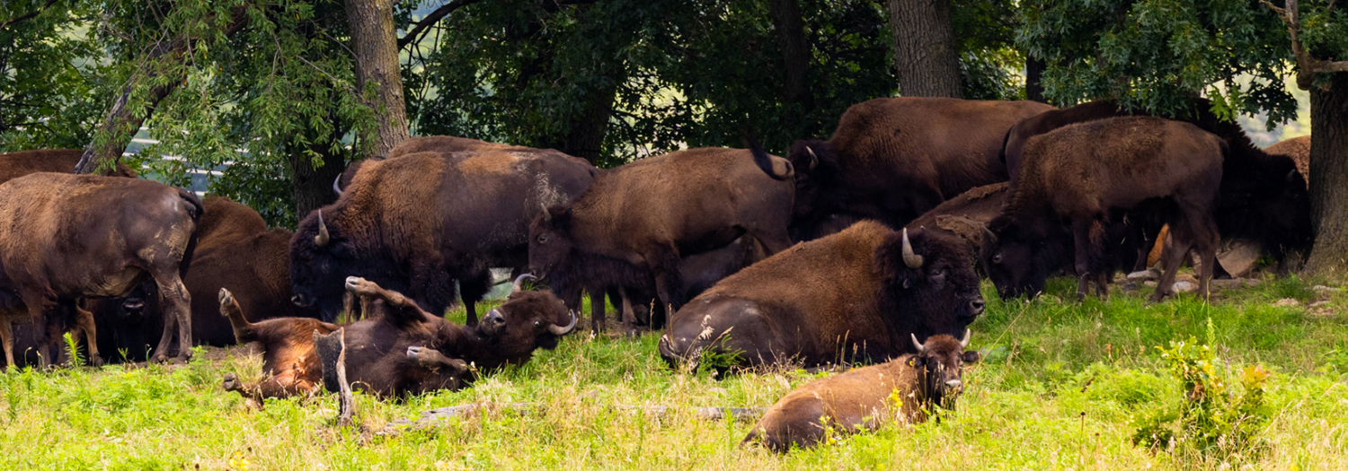 research-concentration