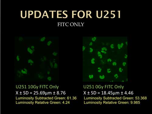 Photo of latest research in the Yasui lab