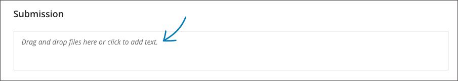screenshot of the submission field on an assessment