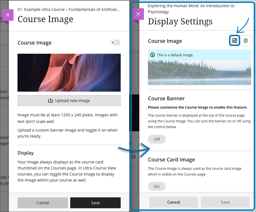 screenshot highlighting the new course image display settings