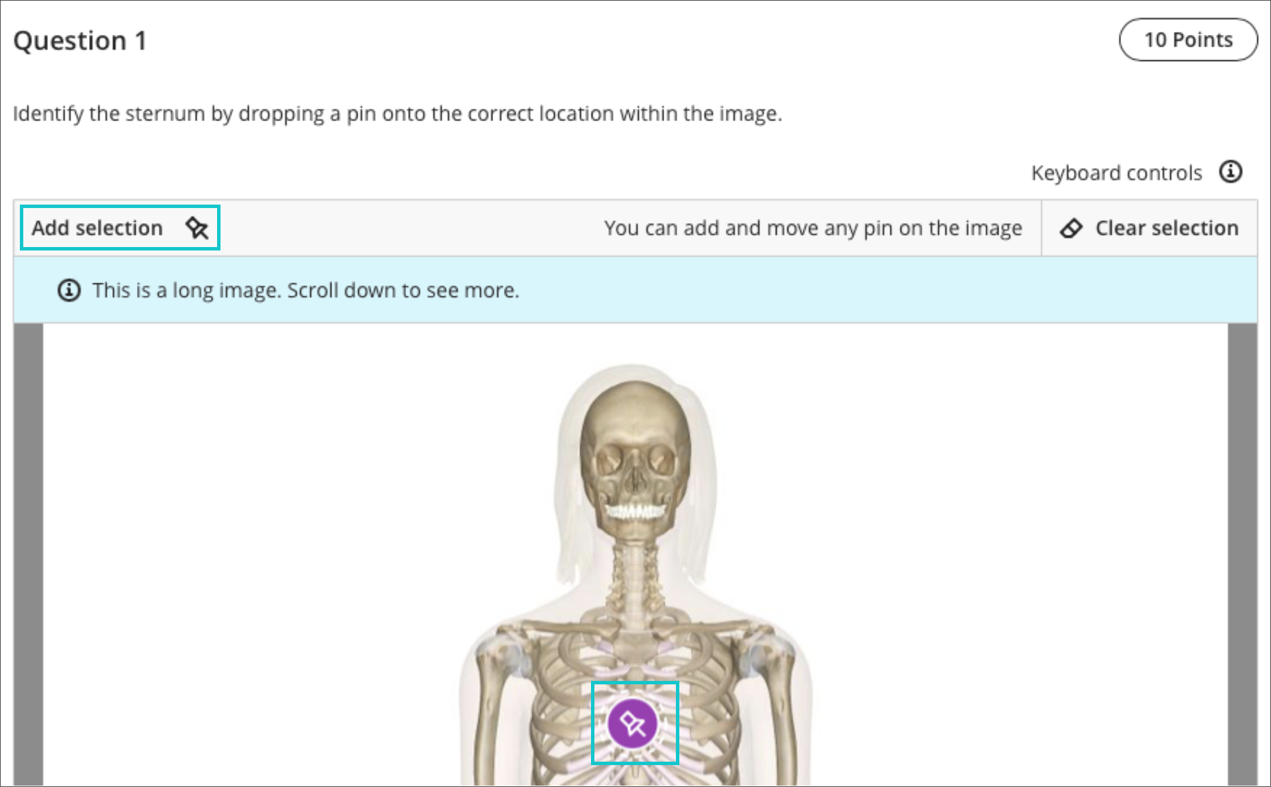 screenshot of hotspot question asking students to place a pin on the sternum in an image of a skeleton