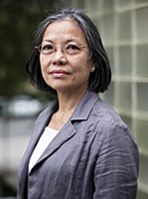 Maureen Aung-Thwin