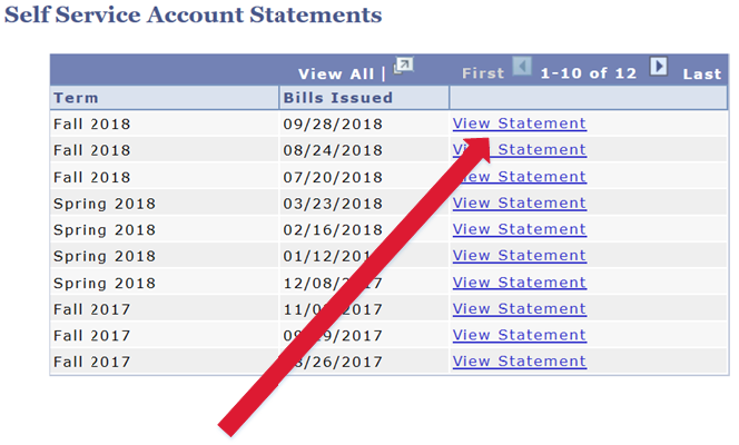 view account statements