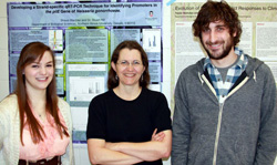 2013 Lab Group photo