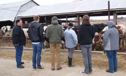 Field trip to a dairy farm