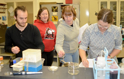 Students working in lab