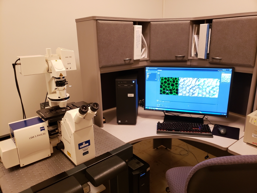 The Zeiss LSM 5 Pascal confocal laser scanning microscope facilitates image capture with argon and HeNe lasers, brightfield, epifluorescence, differential interference contrast, and phase contrast controls.
