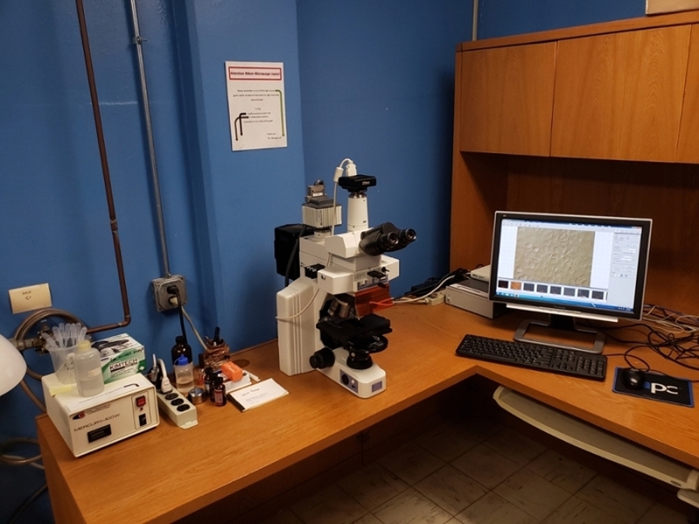 The Nikon Eclipse E-600 light microscope facilitates image capture with brightfield, epifluorescence, differential interference contrast, and phase contrast controls.