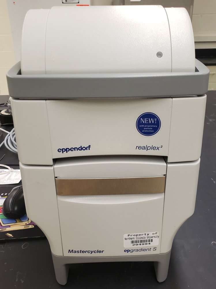 The Eppendorf Mastercycler Realplex is used to perform real time, quantitative analysis of gene expression in biological samples.