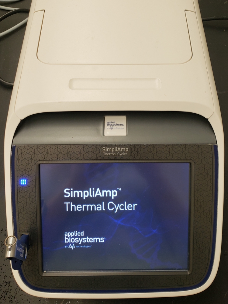 The Applied Biosystems SimpliAmp thermocycler is used for standard PCR reactions.