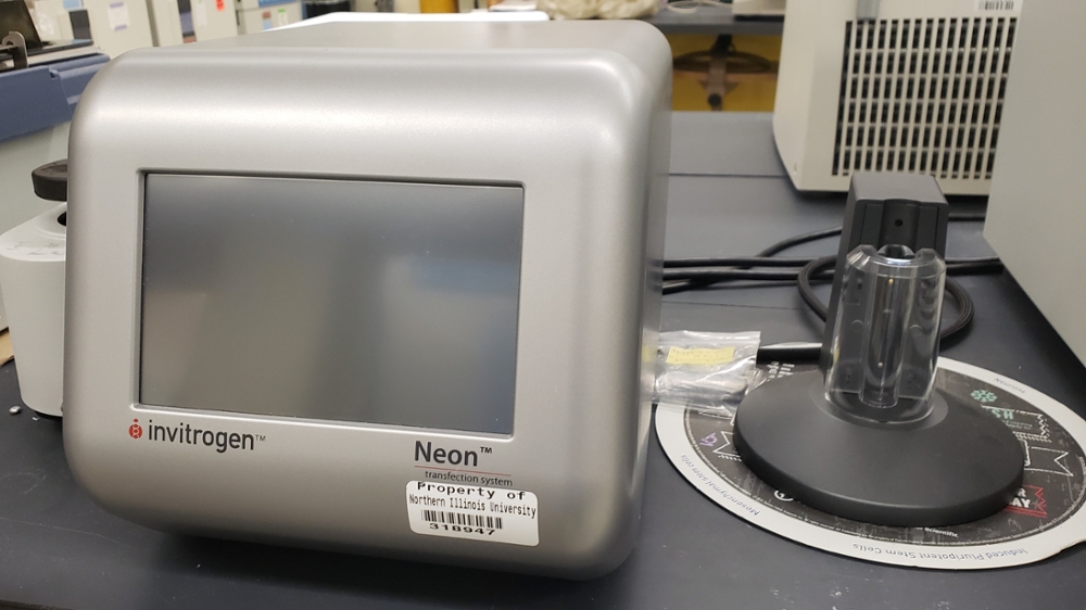 The Neon electroporation transfection system is used to introduce new nucleic acid sequences into eukaryotic cells.