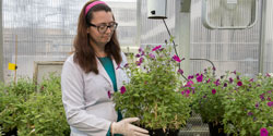 photo of students in greenhouse