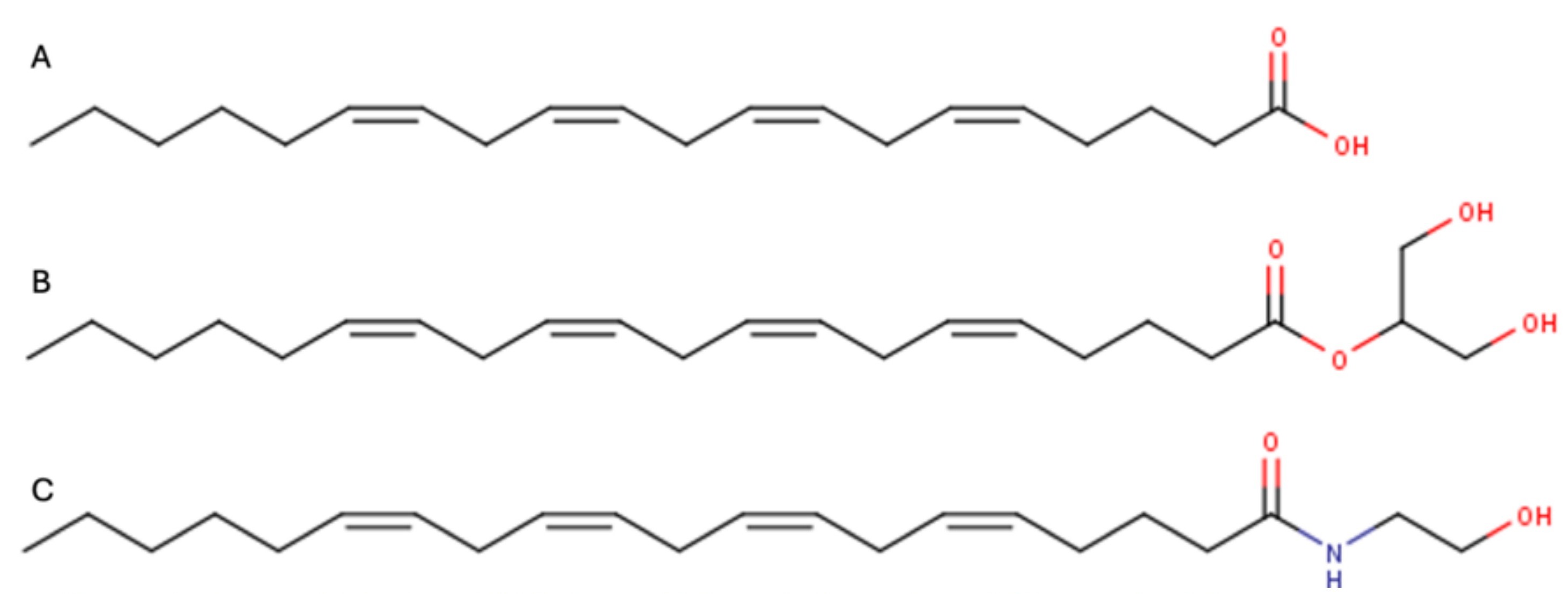 Skeletal structures of lipid mediators arachidonic acid, 2-arachidonoyl glycerol, and anandamide.