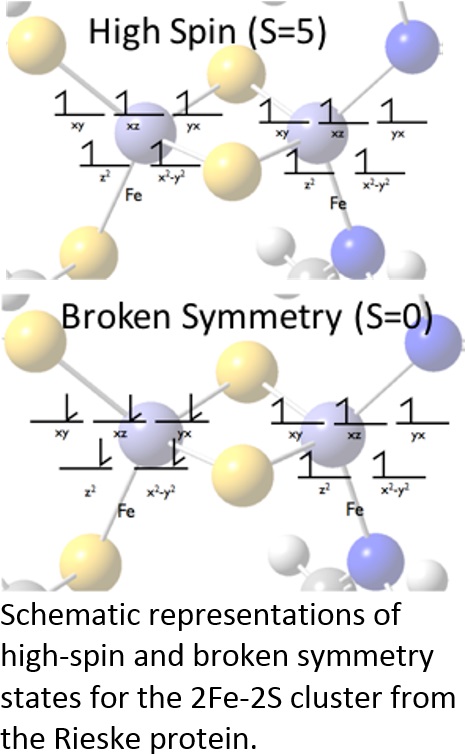 Schematic representations of high-spin and broken symmetry states for the 2Fe-2S cluster from the Rieske protein.