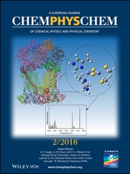 ChemPhysChem Issue