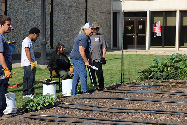 community volunteers