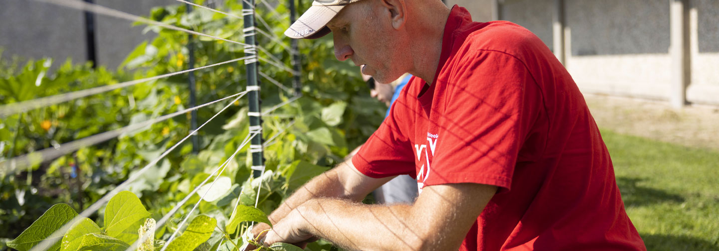 Bryan Flower examines produce in the garden