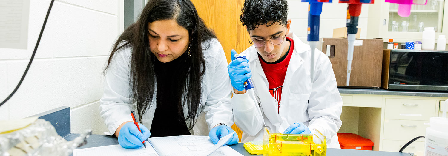 Students work in research lab