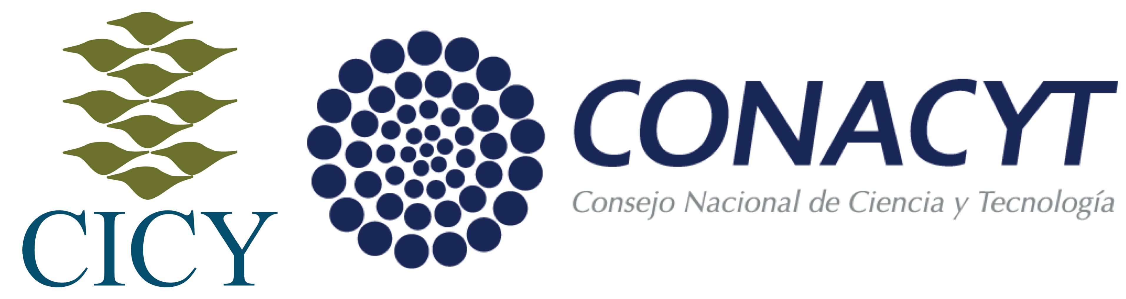Cicy Logo
