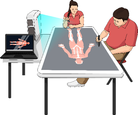 Illustration of the ultra-short throw projector, which projected a life-sized anatomical model that students are able to dissect.