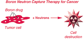 BNCT Schematic