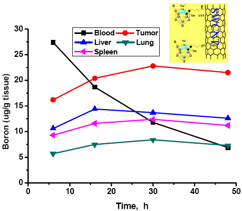 Boron tissue distributions of a BNCT compound incorporating a substituted carborane cage appended to a single‐walled carbon nanotube