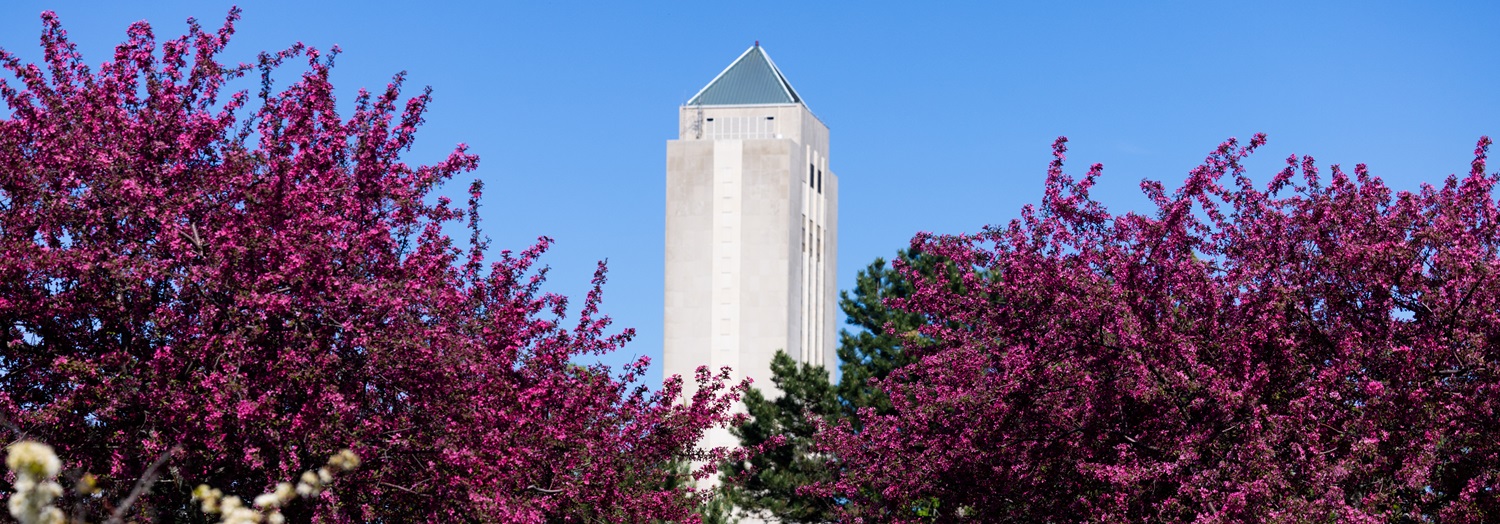 The Holmes Student Center building in the spring season