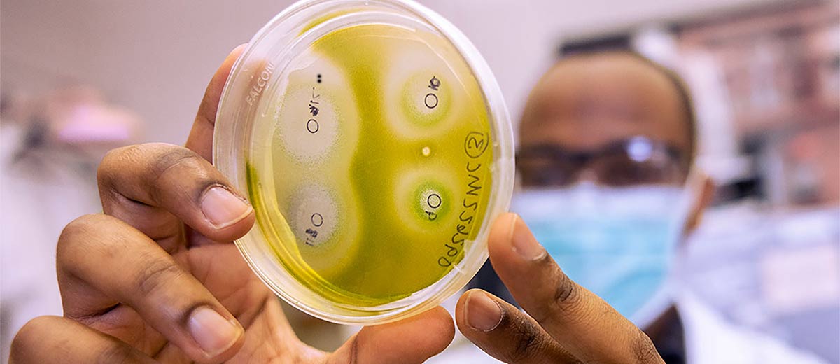Researcher examines petri dish in molecular core lab